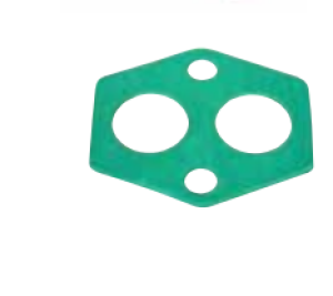 Gasket Shunt