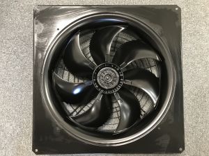 036. Axial Complete